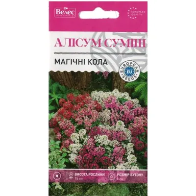Алісум  Магічні кола  0,2г 95116 Велес