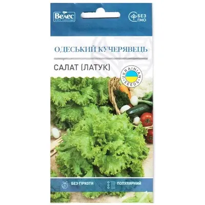 Салат (латук) Одеський кучерявець 1 гр 3209 Велес
