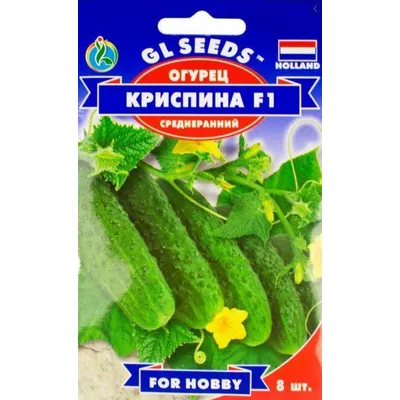 Огірок Кріспіна  F1  10 шт 5223 GL SEEDS