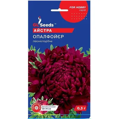 Айстра Опалфойєр  0,3 г. 17809 GL SEEDS