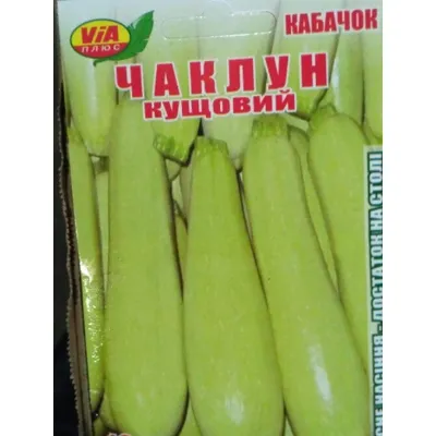 Кабачок Чаклун кустовой обработанный 10 гр 95372 VIA