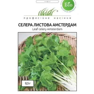 Проф насіння Селера листкова Амстердам 0,5 г 010156