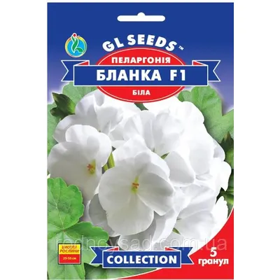Пеларгонія Бланка F1 5 штук 10939 GL SEEDS