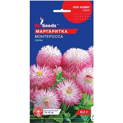 Маргаритка Монтеросса  0,1 гр 3461 GL SEEDS