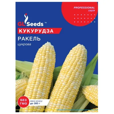 Кукурудза Ракель F1 30 шт 20346 GL SEEDS