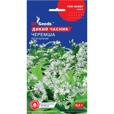 Черемша (дикий часник) 0,1 гр 5458 GL SEEDS