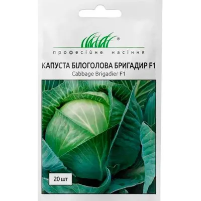 Проф насіння Капуста б/г Бригадир  F 1 ,20 шт. 000101