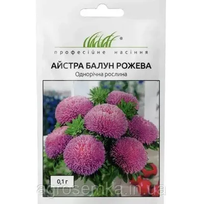 Проф насіння Айстра Балун  рожева 0,1г 00411