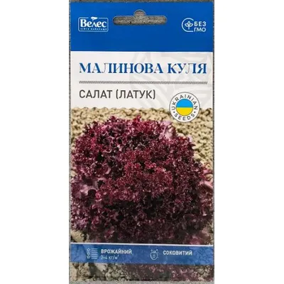 Салат (латук)  Малинова куля 1гр 00330 Велес