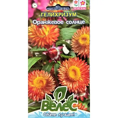 Геліхрізум Помаранчеве  сонце 0,3  г 3064 Велес
