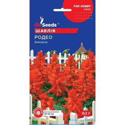 Шавлія  блискуча  Родео 0,1 г 99459 GL SEEDS