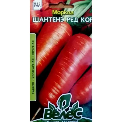 Морква Шантане Ред Кор 3гр 1298 Велес