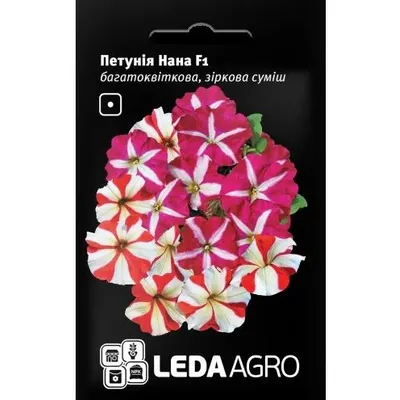Петунія Нана  F1  зоряна суміш  багатоквіткова 10 шт LEDAAGRO 99597