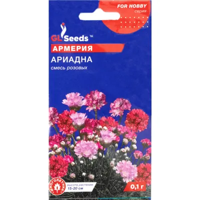 Армерія Аріадна 0,1 г суміш рожевих 99543 GL SEEDS