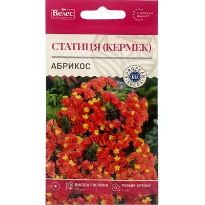 Статиця Абрикос 0,2 г 14530 Велес