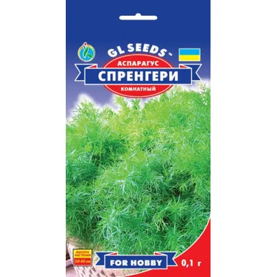 Аспарагус Спренгери 0,1 г 99546 GL SEEDS