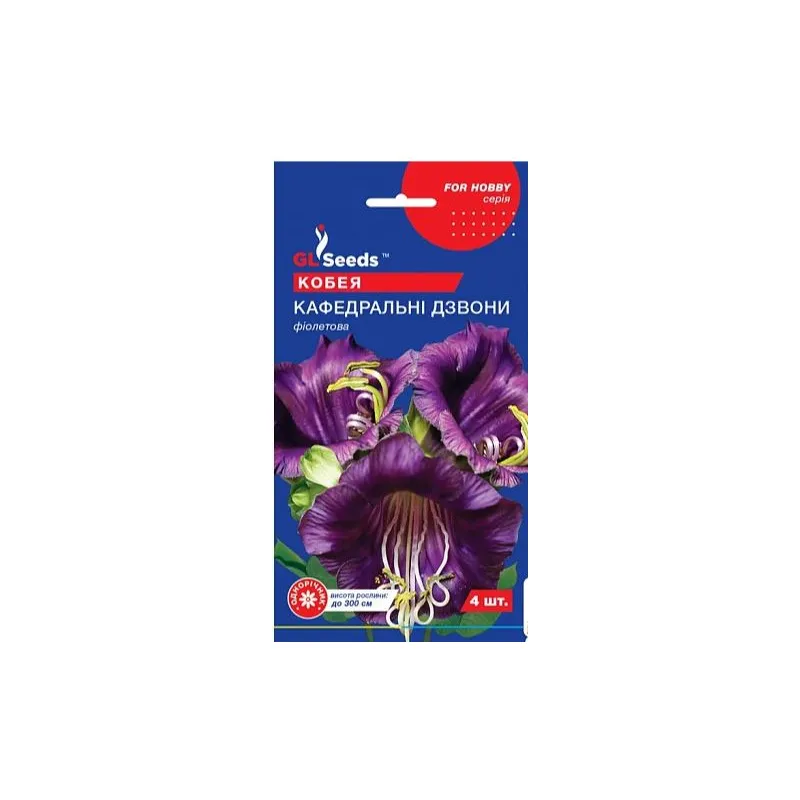 Кобея Кафедральні дзвони фіолетова 4 шт. 00075 GL SEEDS 