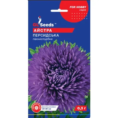Айстра Персидська  0,3 г 17802 GL SEEDS