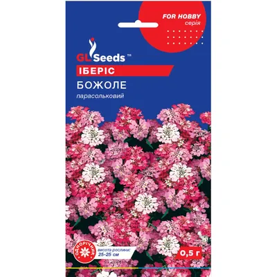 Іберіс Божоле 0,5 г 3007 GL SEEDS