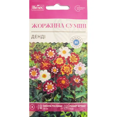 Жоржина  Денді  0,3 г 99531 Велес