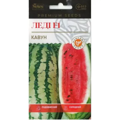 Кавун Леді F1 5 шт 99700 Велес