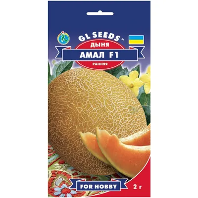 Диня Амал F1 1 г 5111 GL SEEDS