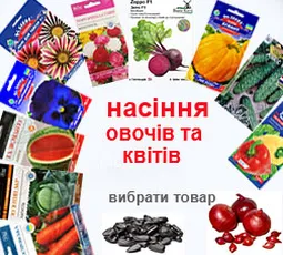 насіння