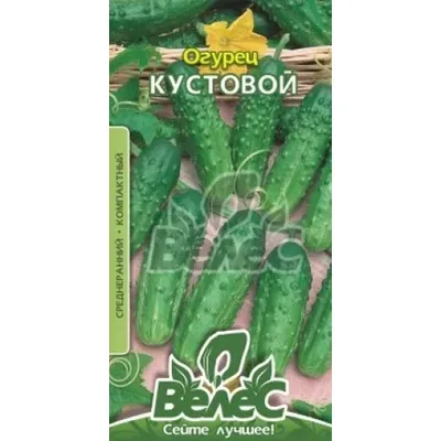 Огірок Кущовий  0,5гр 3828 Велес