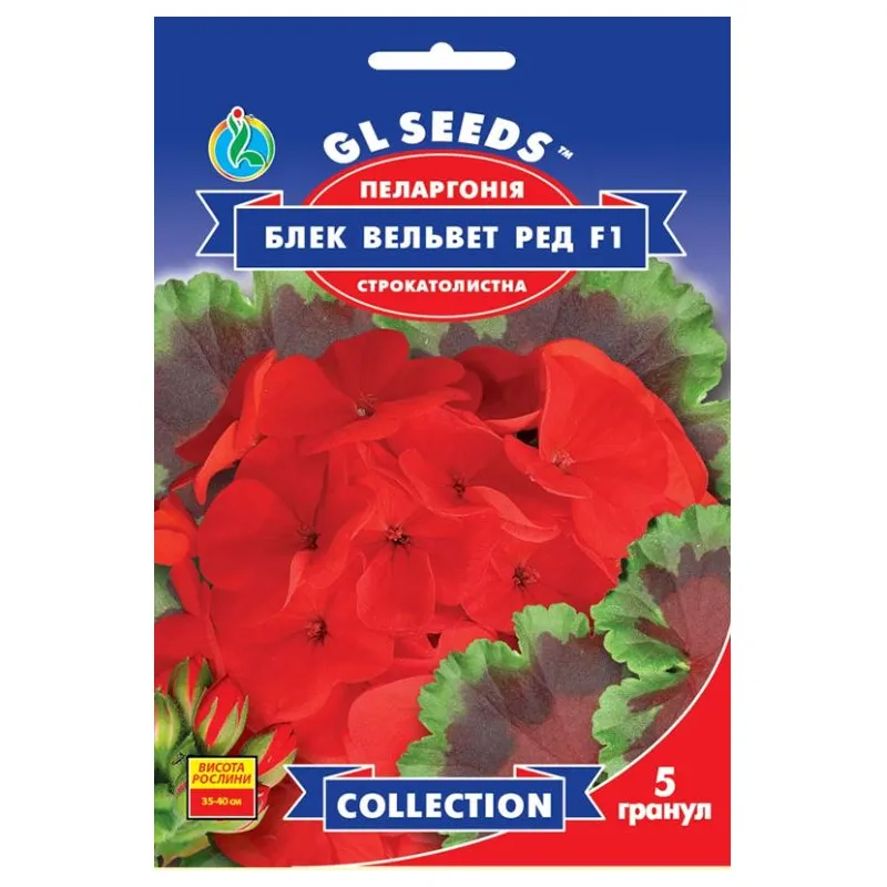 Пеларгонія Блек Вельвет Ред F1 5 гранул 6160 GL SEEDS 