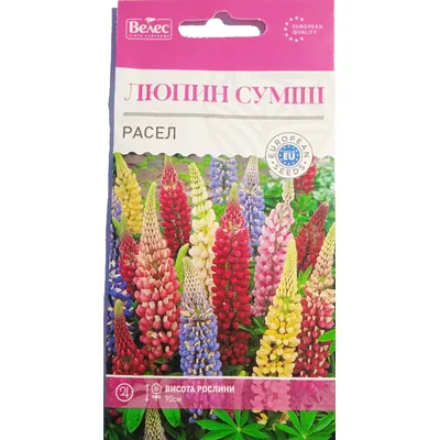 Люпин Рассел 0,5гр 3245 Велес
