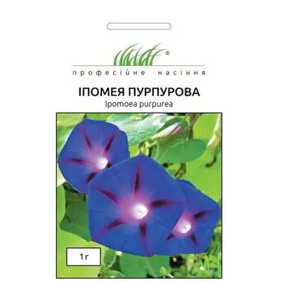 Проф насіння Іпомея пурпурова 1г 100429