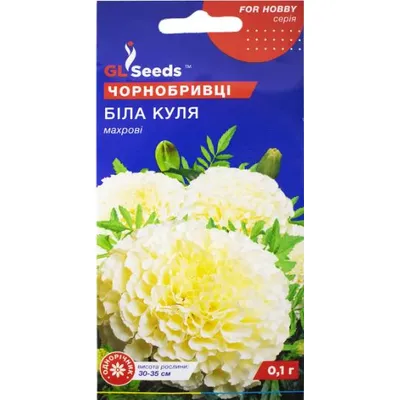Чорнобривці Біла куля 0,1 г 07053 GL SEEDS