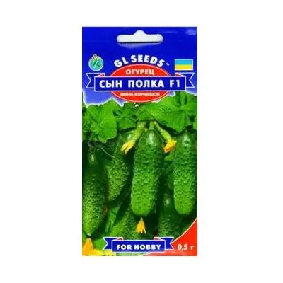 Огірок Син полка  F1  0,5 г 5191 GL SEEDS