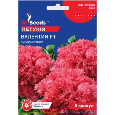 Петунія  Валентин  F1 5 гранул 5660 GL SEEDS