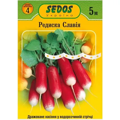 Редиска Славія  на стрічці 5 метрів SEDOS 99758
