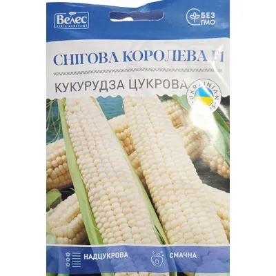 Кукурудза цукрова Снігова  королева F1  15 г 3161 Велес