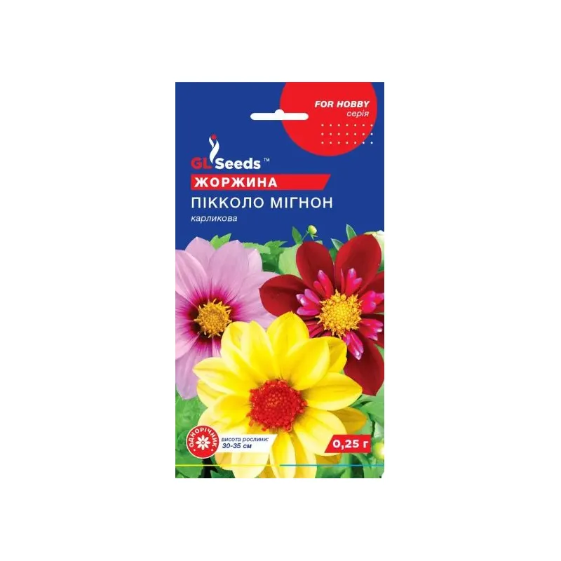 Жоржина Пікколо Мігнон 0,25 г 5667 GL SEEDS 