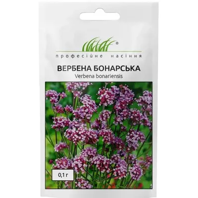 Проф насіння Вербена бонарська 0,1г 00460