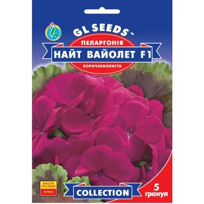 Пеларгонія Найт Вайолет  F1 5 гранул 10945 GL SEEDS