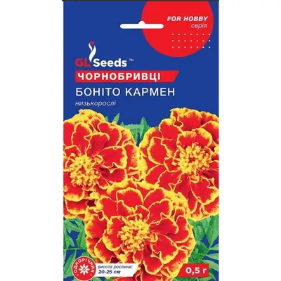 Чорнобривці  Боніто Кармен  0,5 г 5703 GL SEEDS