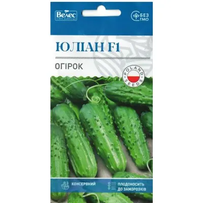 Огірок Юліан F1  0,5г 100270 Велес