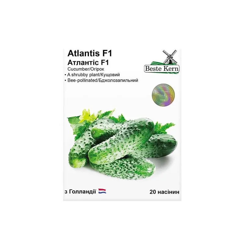 Огірок Atlantis  F1 20 шт 10207 Beste Kern 