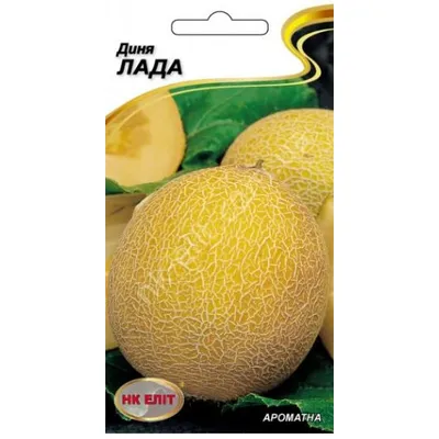 Диня Лада 1 г 99695 НК Еліт