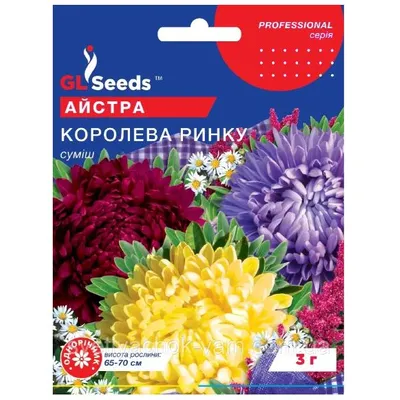 Айстра Королева ринку 0,3 г 95098 GL SEEDS