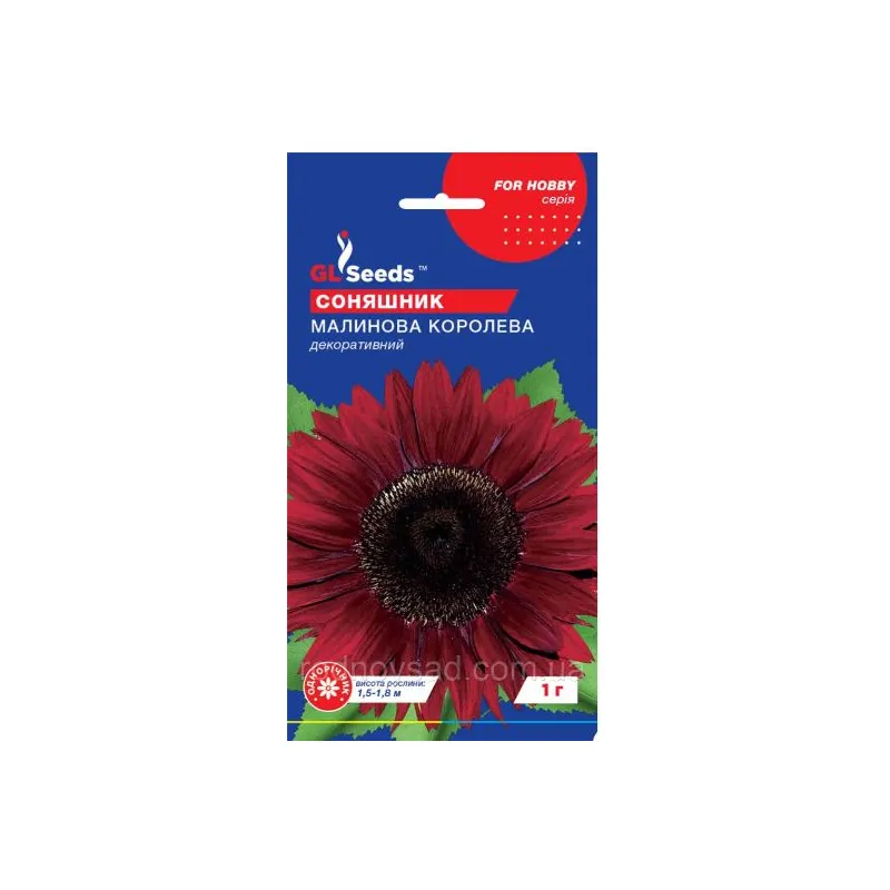 Соняшник Малинова королева 1 г 5229 GL SEEDS 
