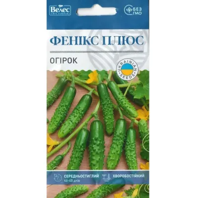 Огірок Фенікс плюс  1г 5485 Велес
