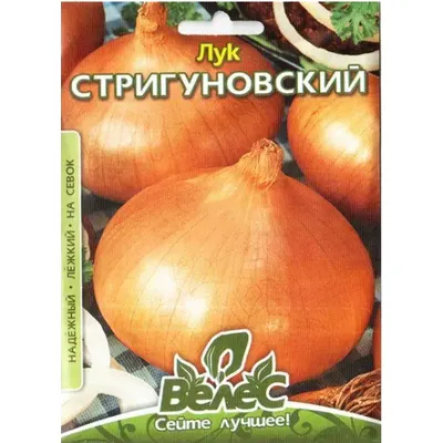 Цибуля Стригуновська  8гр МАКСІ 95051 Велес