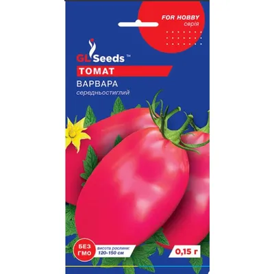 Томат Варвара   0,1 г 5341 GL SEEDS