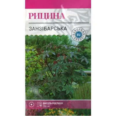 Рицина(клещевина) Занзібарська 1г 95198 Велес