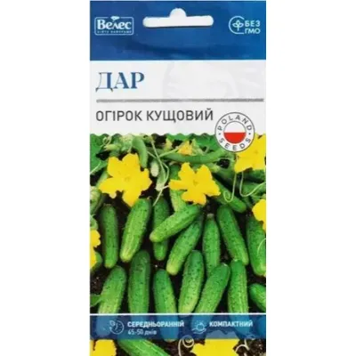 Огірок Дар кущовий 0,5г 100252 Велес